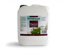 PinusFauna Pflegeextrakt 10 l