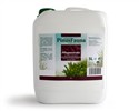 PinusFauna Pflegeextrakt 5 l