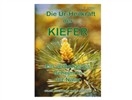Die Ur-Heilkraft der Kiefer