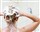 Wilms Wald-Dusche inkl. 2 Kiefernkernholz-Pakete