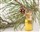 PinusVital Erfrischende Flüssigseife 1000 ml Vorteilsflasche