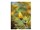 Die Ur-Heilkraft der Kiefer 56 Pages