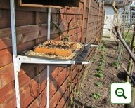 Bienenkorb