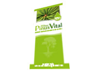 Flyer PinusVital