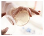 Quality assurance throughout the production process 